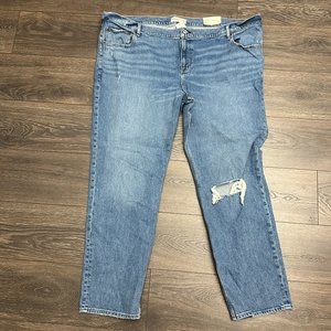 Abercrombie & Fitch 90's Straight Low Rise Jean - Plus Size - 24L - NWT